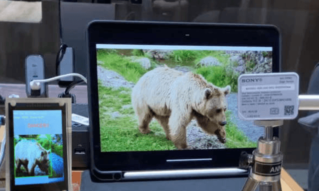 AITRIOS |ミニハッカソン 〜 社会課題に活用しよう!#1〜のサムネイル画像