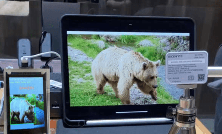 AITRIOS |ミニハッカソン 〜 社会課題に活用しよう!#1〜